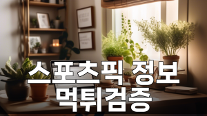 스포츠픽 정보 2 1 34
